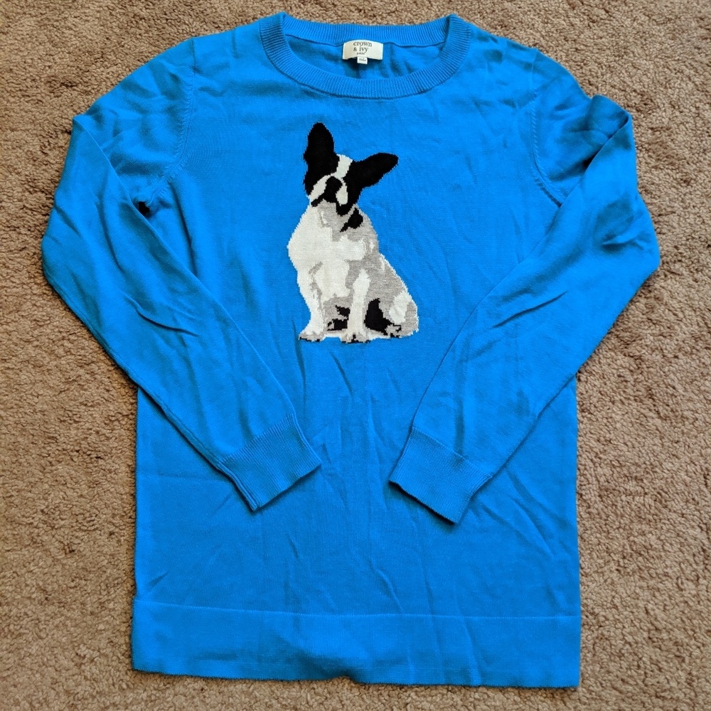 Super cute dog Sweater